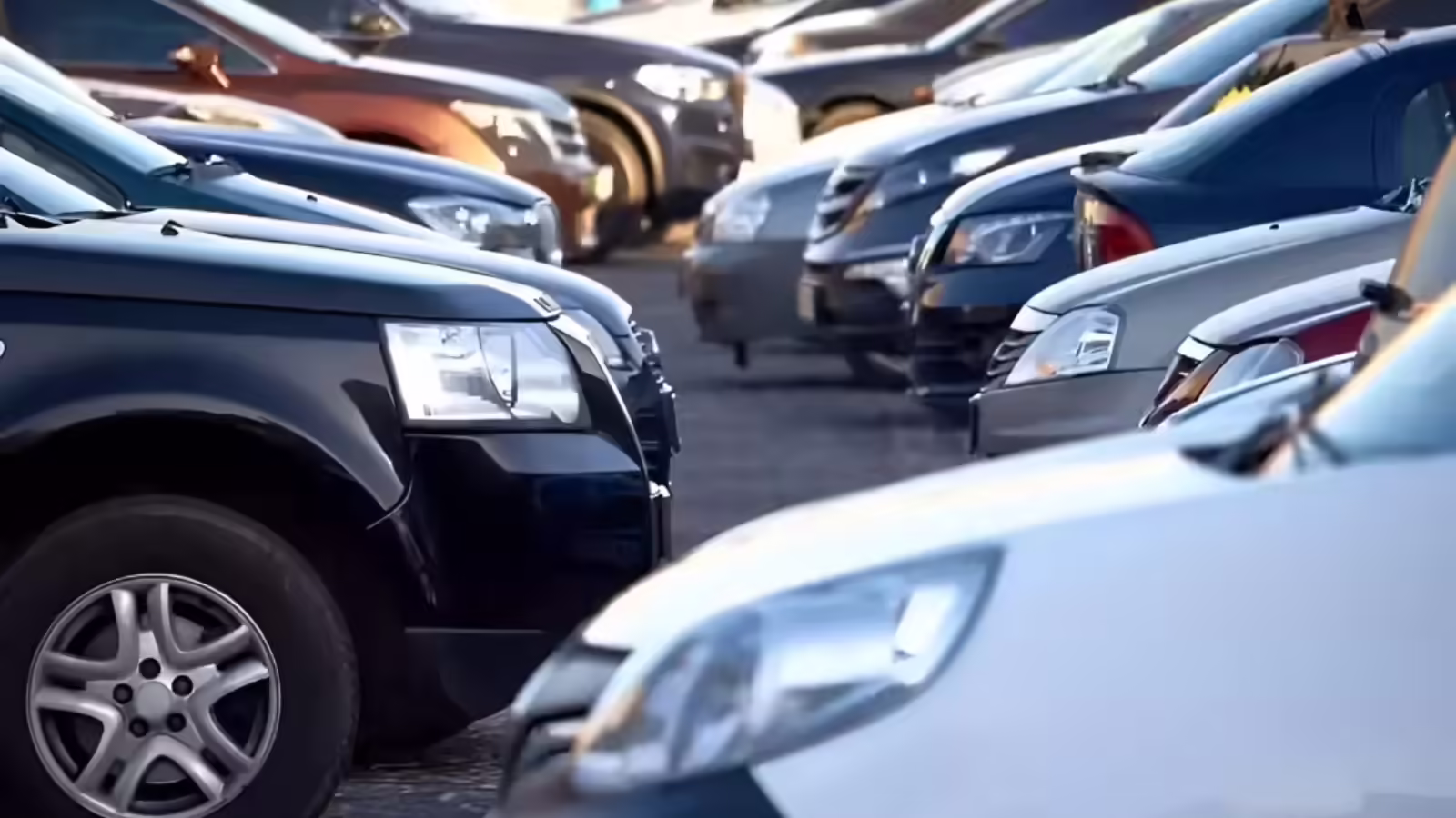 कौन सी चीज हमारे लिए जरूरी और कौन सी बेकार समझनी होगी ये बात, नहीं तो हमें कोई कुछ भी बेच सकता है, प्रदूषण भी