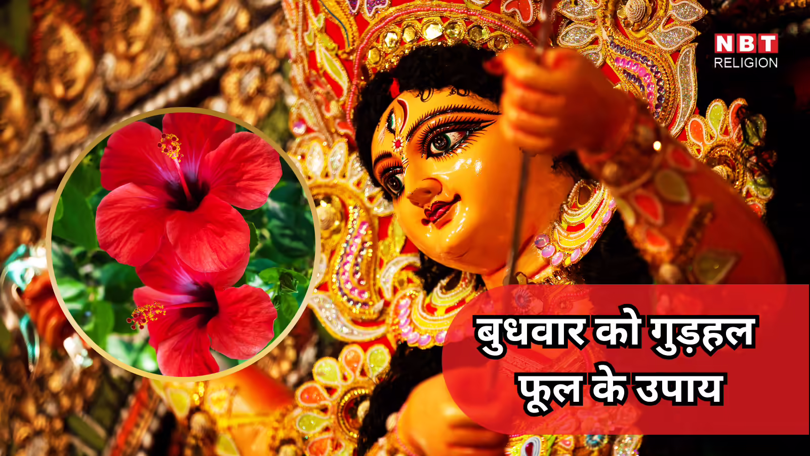 Budhwar Ko Gudhal Phool Ke Upay : बुधवार को गुड़हल फूल के उपाय, एक भी आजमा लेंगे तो दुर्गा मां और गणेशजी की बरसेगी कृपा, करियर में मिलेगी सफलता