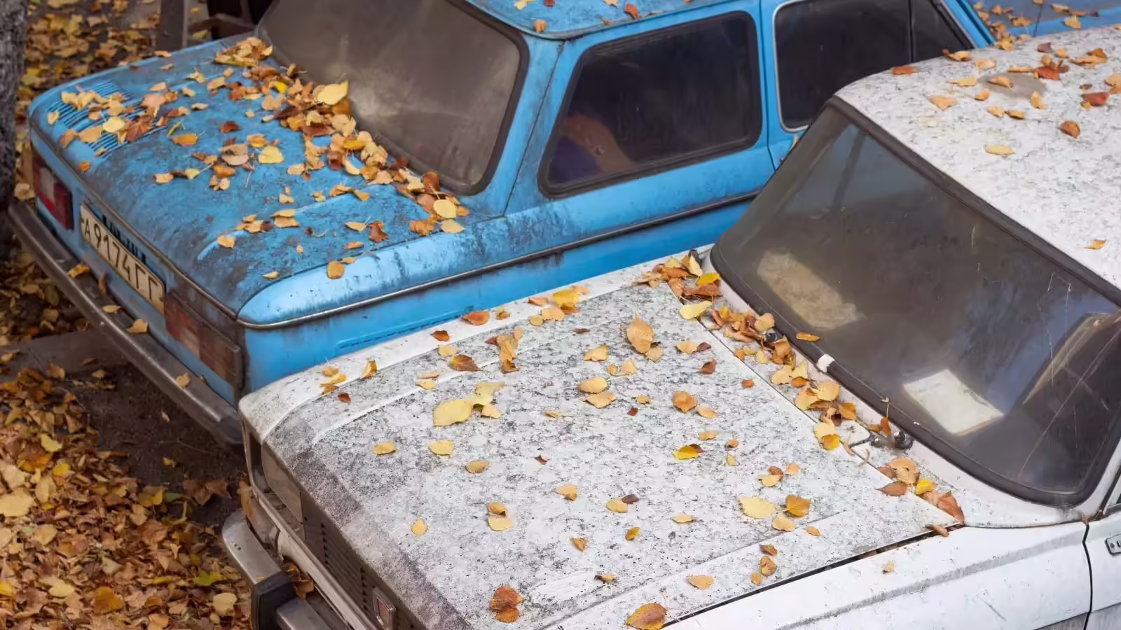 दिल्ली के शातिर चोर, गाड़ी ठीक करने के बहाने लगाते GPS, फिर ट्रैक कर उड़ा ले जाते