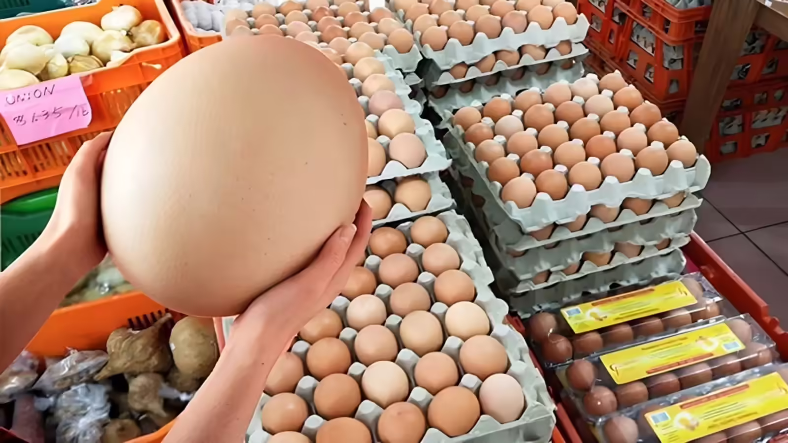 क्या अंडे खाने से ‘कैंसर’ होने का है डर? FSSAI ने कर दिया सबकुछ क्लियर; पढ़ लीजिए यहां