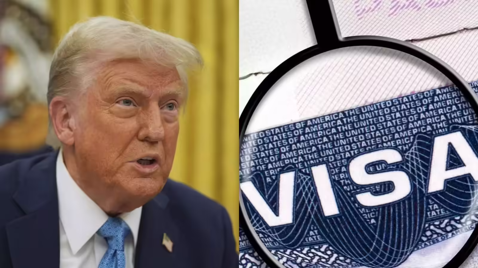 डोनाल्ड ट्रंप ने ग्रीन कार्ड लॉटरी प्रोग्राम रोका, यूनिवर्सिटी में गोलीबारी के बाद उठाया कदम, भारतीयों की बढ़ेगी टेंशन!