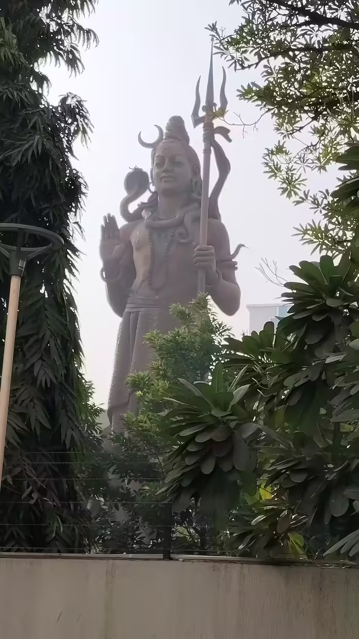 POCO M8 5G Day light shot