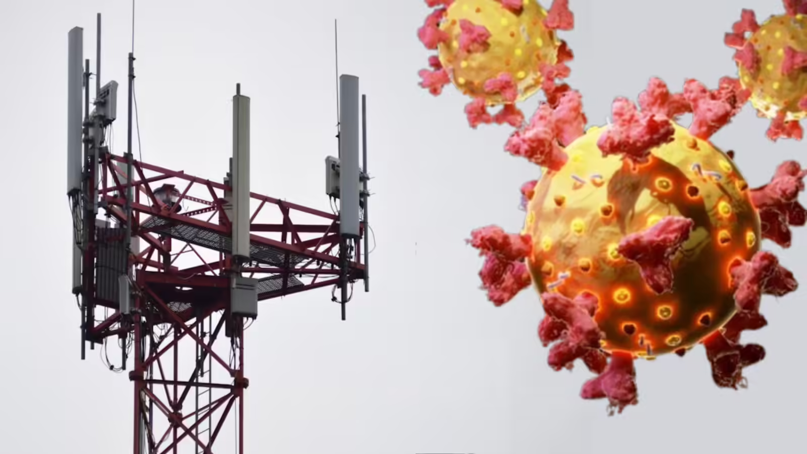 क्या मोबाइल टावर की वजह से होता है कैंसर, सरकार ने कर दिया साफ, जानें क्या है सच?