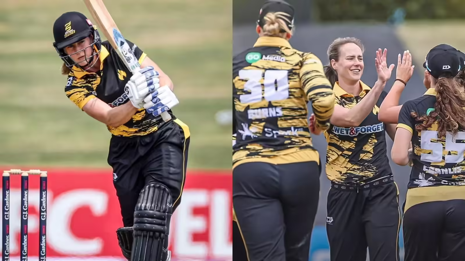 WPL 2026: विमेंस प्रीमियर लीग से नाम वापस लिया, न्यूजीलैंड में टी20 लीग खेल रहीं एलिस पेरी