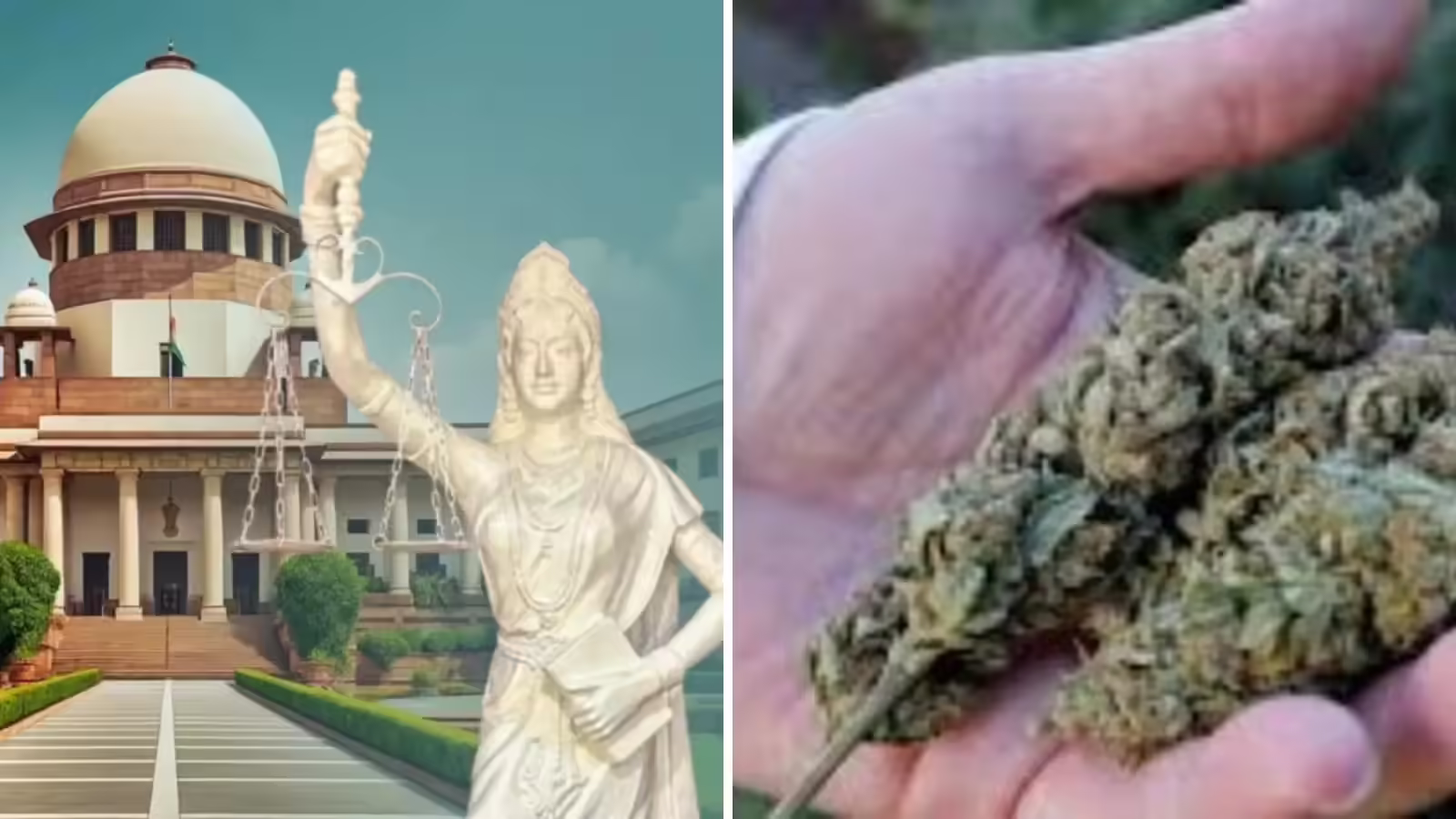 Preventive Detention: फिर से गांजा बेचने लगेगी, शक के आधार पर बढ़ाई महिला की हिरासत, सुप्रीम कोर्ट ने पलट दिया फैसला