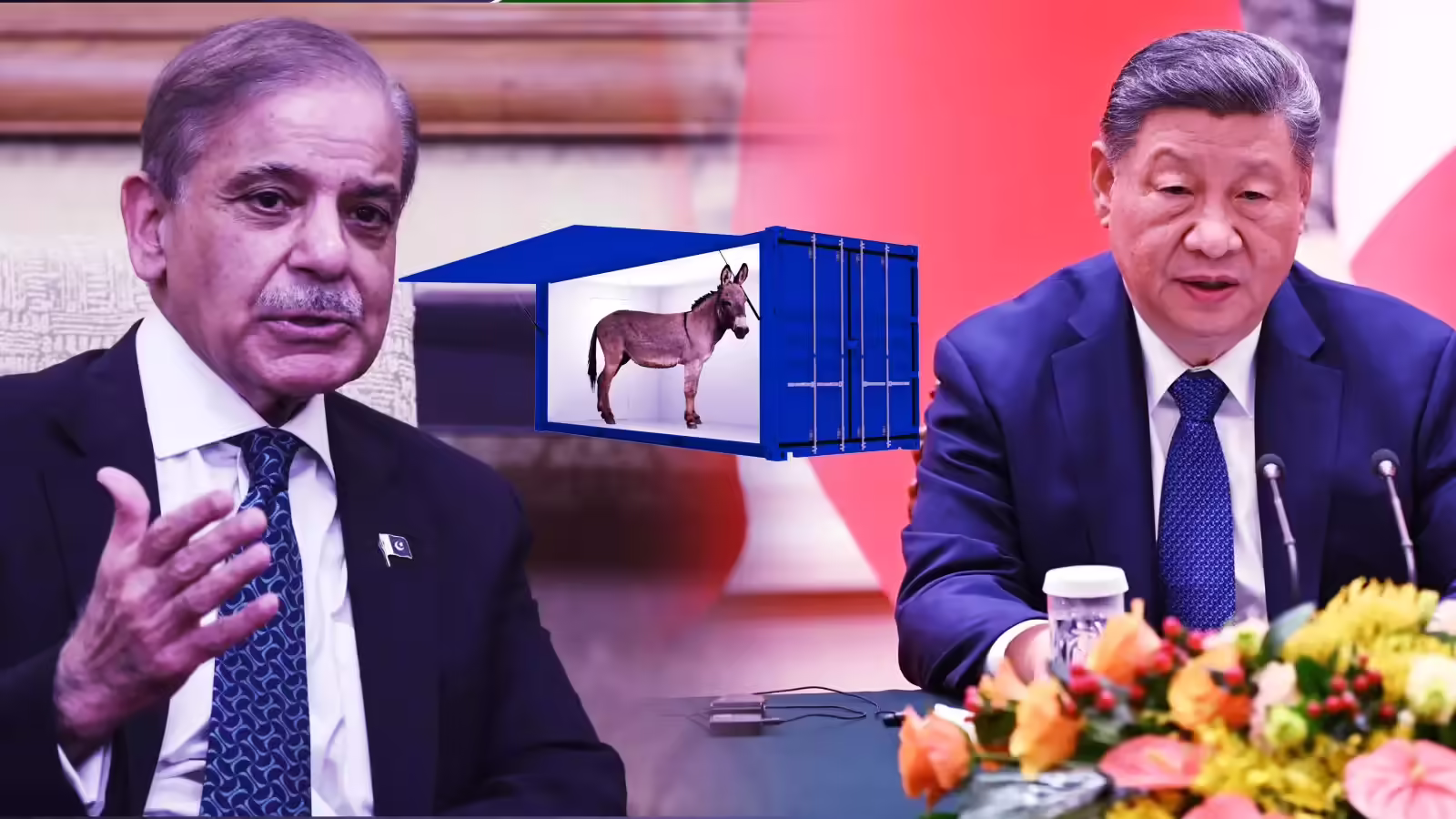 पाकिस्तान अब गधा बेचकर बनेगा मालामाल, 60 लाख के पार पहुंचा दी आबादी, चीन में भारी डिमांड