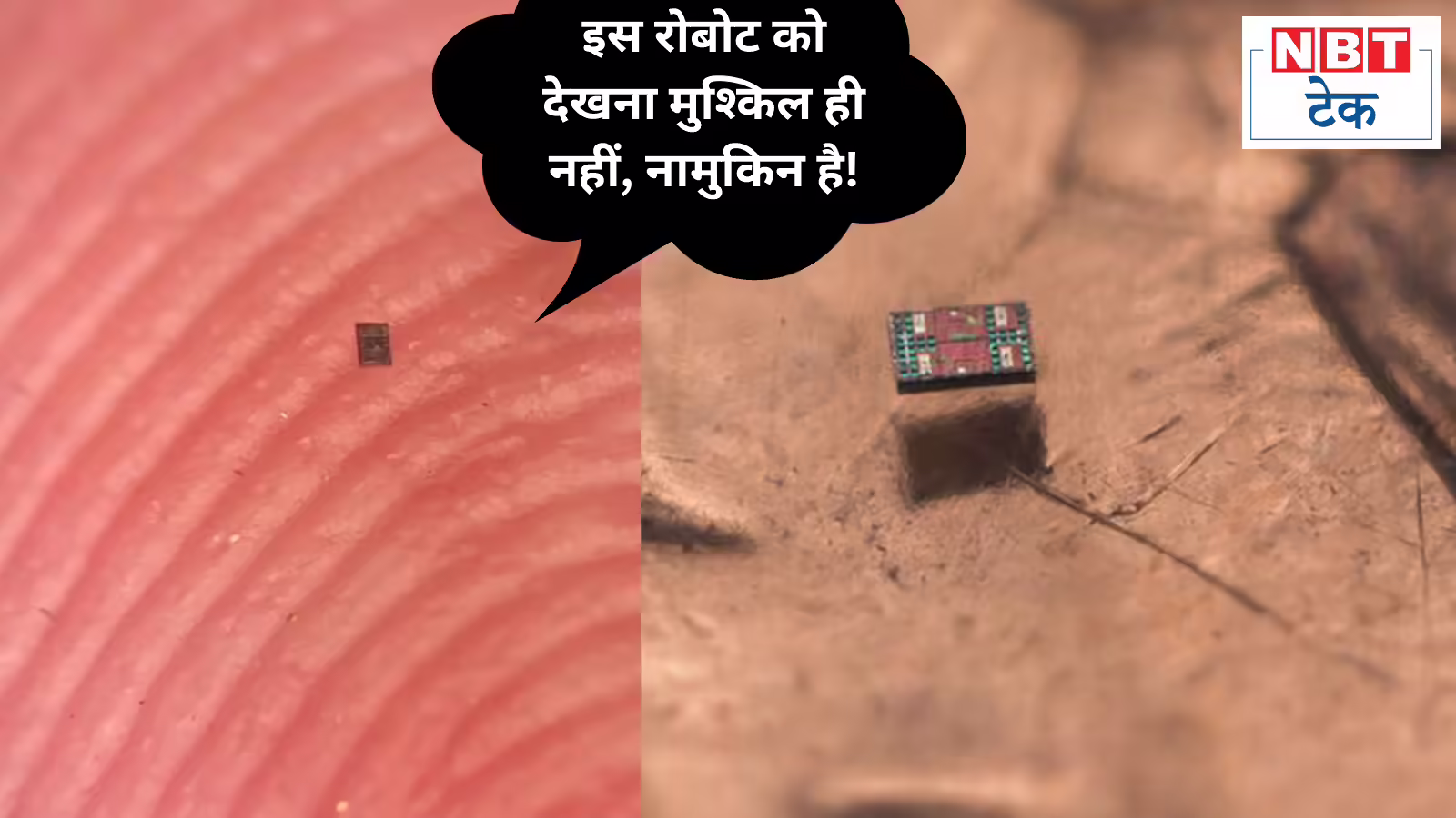 83 पैसे का रोबोट जिसे देखने के लिए चाहिए माइक्रोस्कोप, किस काम में आएगा इस्तेमाल? जानें