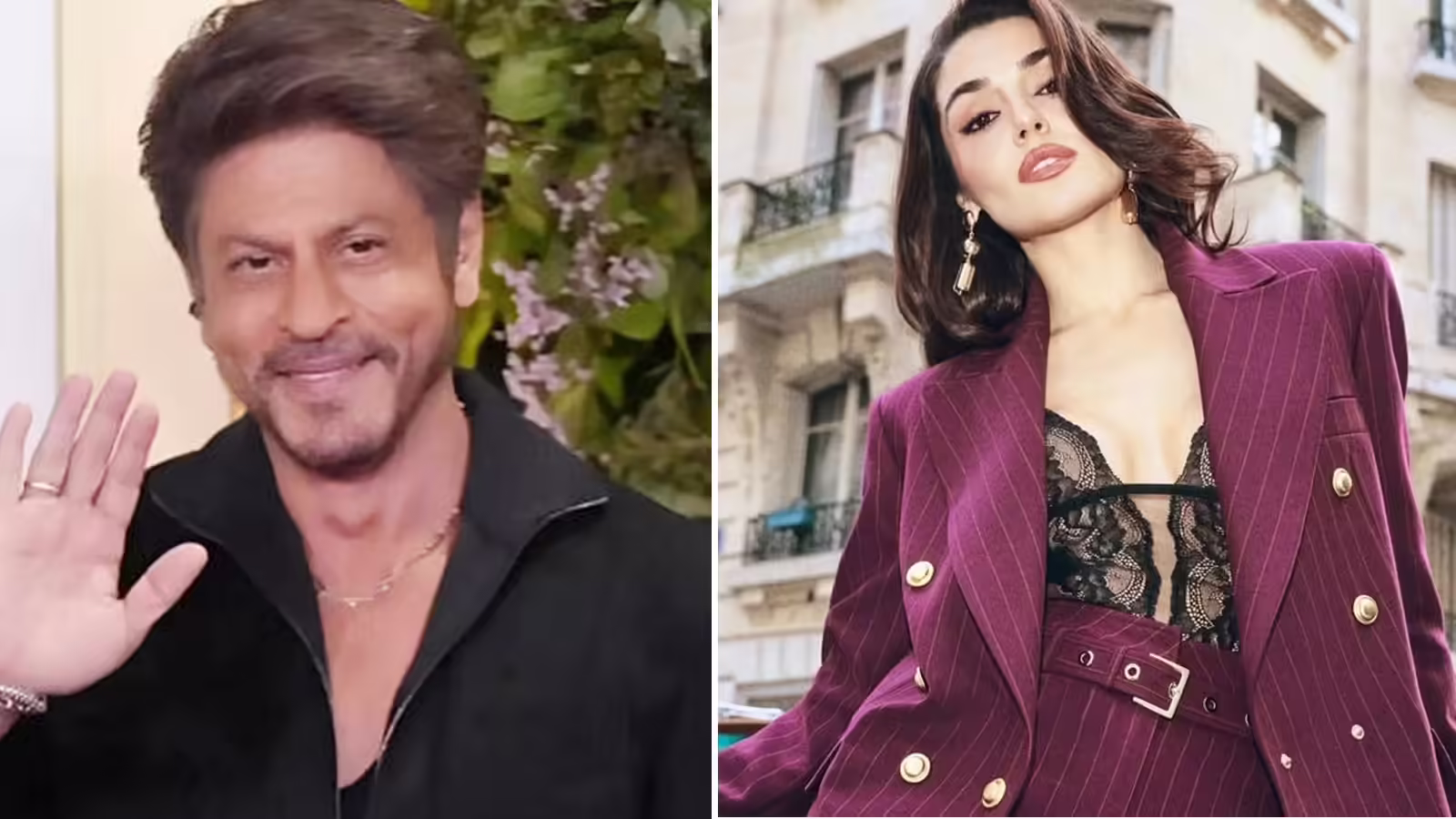 तुर्की एक्ट्रेस Hande Erçel ने शाहरुख खान को कहा था ‘अंकल’? वायरल पोस्ट को बताया Fake, ये है मामला