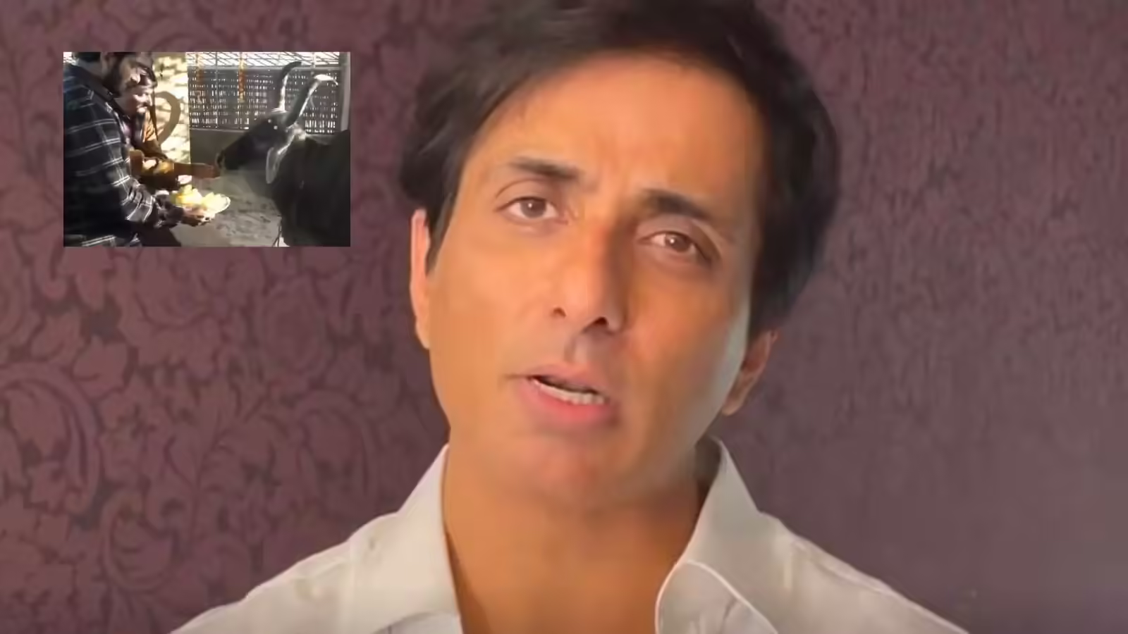 सोनू सूद ने गुजरात की गौशाला को दान किए ₹11 लाख, कहा- मैं इस जगह दोबारा आना चाहूंगा