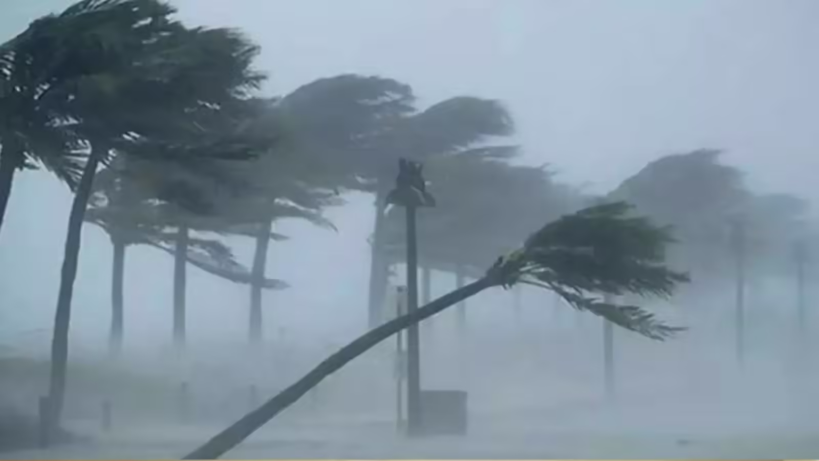 कल का मौसम 10 जनवरी: खतरनाक ठंड के बीच 4 राज्यों में बारिश की चेतावनी, 29 शहरों में शीतलहर; IMD का ताजा अपडेट