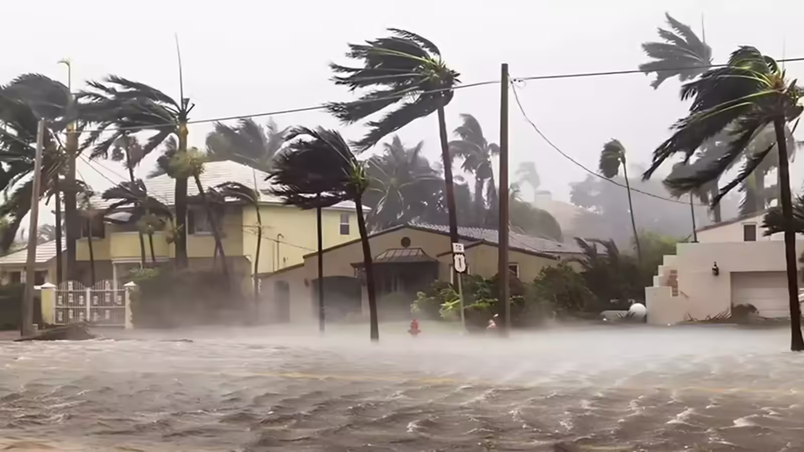 कल का मौसम 15 जनवरी: यूपी, राजस्थान समेत 8 राज्यों में बारिश की चेतावनी, 15 शहरों शीतलहर; IMD का नया अलर्ट