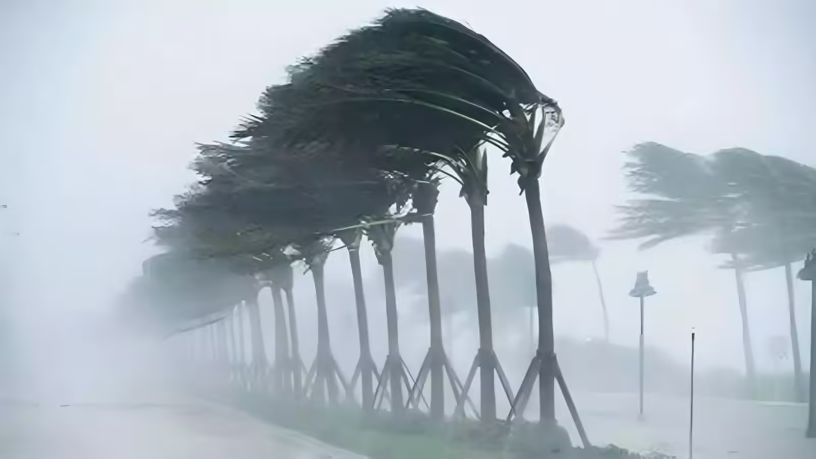 कल का मौसम 12 जनवरी: अगले 24 घंटे में 4 राज्यों में आंधी-बारिश की चेतावनी, 50 की स्पीड से हवा, IMD अलर्ट जारी