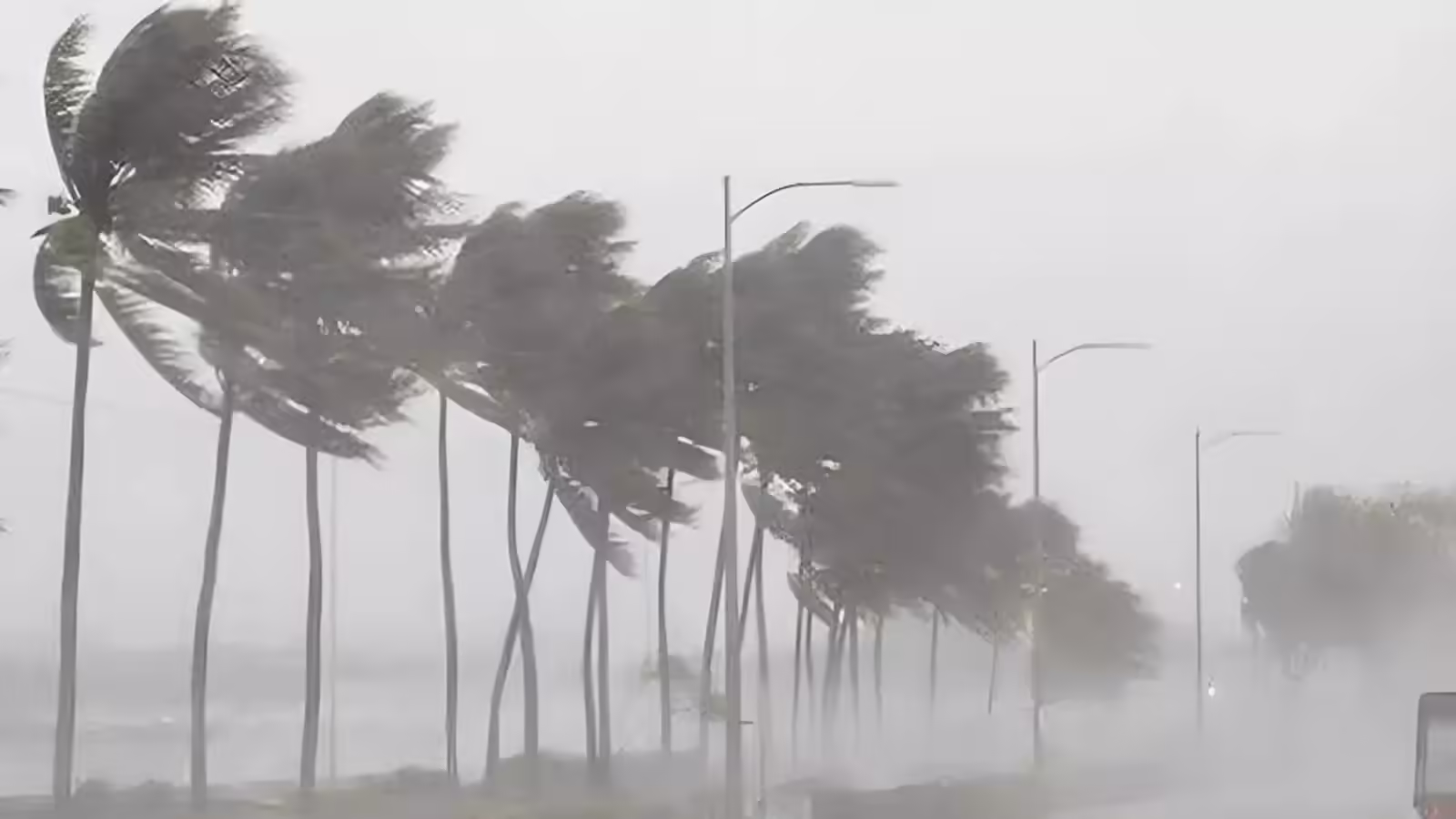 कल का मौसम 14 जनवरी: मकर संक्रांति पर बारिश या चलेगी शीतलहर? उत्तर भारत के 6 राज्यों के लिए अलर्ट, IMD अपडेट