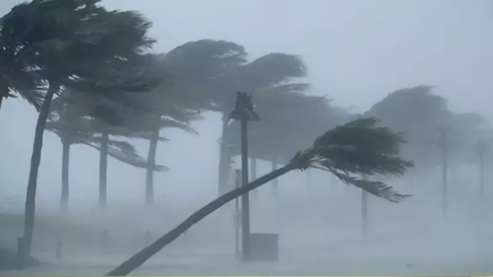 कल का मौसम 25 जनवरी: अगले 48 घंटे में 5 राज्यों में भारी बारिश की चेतावनी, 60 की स्पीड से हवा; IMD अलर्ट जारी