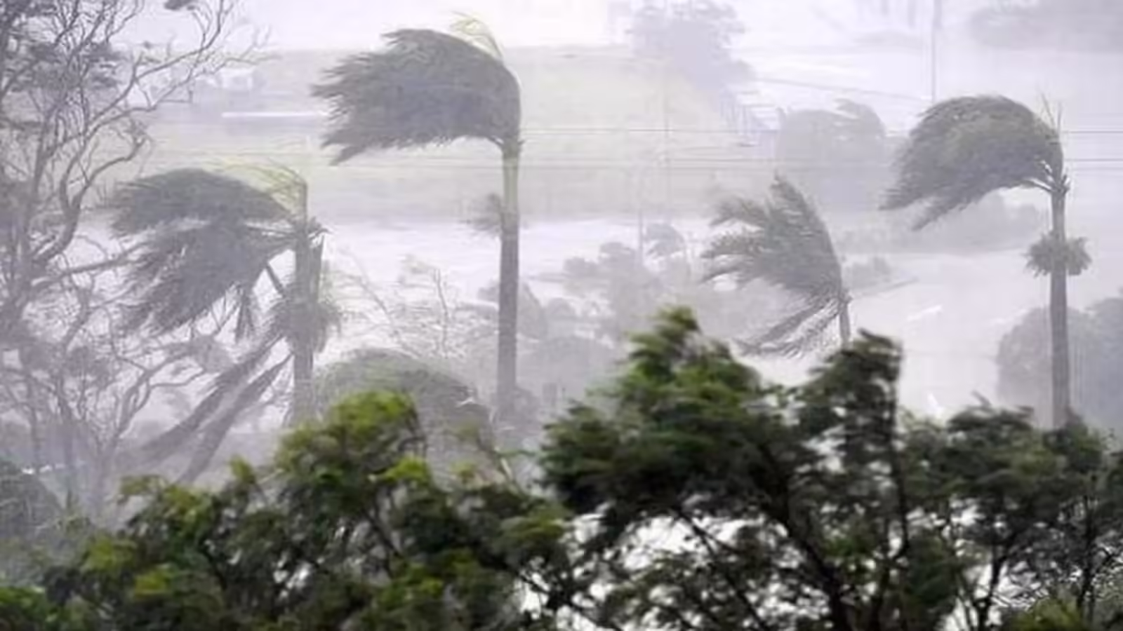 आज का मौसम 14 फरवरी 2026: 8 राज्यों में बारिश का अलर्ट, बर्फबारी के साथ घने कोहरे की चेतावनी, IMD ने जारी किया मौसम अपडेट