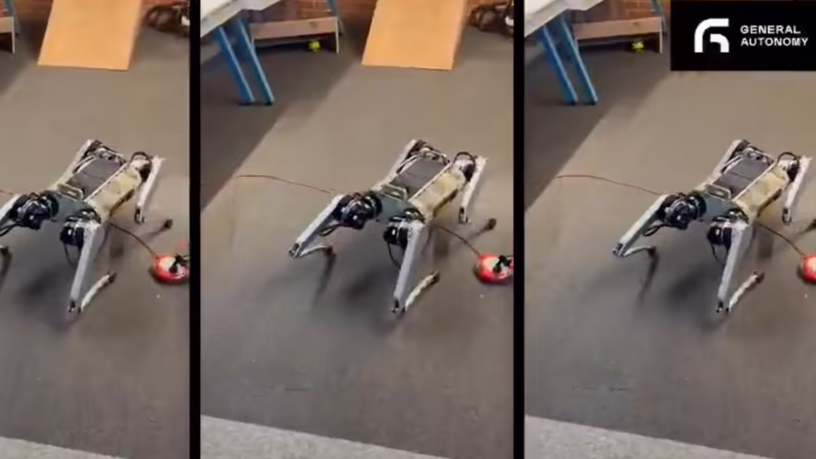 गलगोटिया वाला नहीं, ये भारत का असली रोबो डॉग PARAM है, जानें क्या खास इसमें?