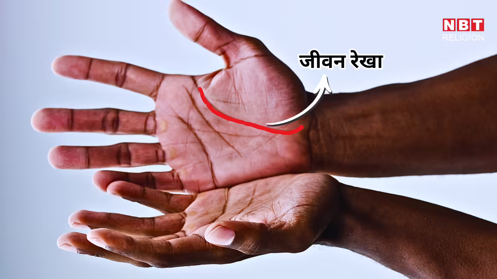 Life Line In Palmistry : जीवन रेखा बताती है व्यक्ति का स्वास्थ्य और आरोग्य का हाल, सामुद्रिक शास्त्र से जानें लाइफ लाइन के संकेत