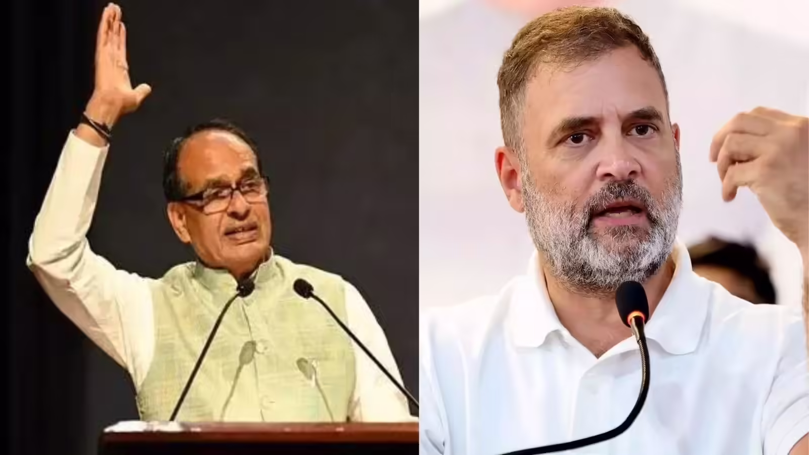 राहुल गांधी, आपको जवाब देना पड़ेगा.. चीनी-तेल का जिक्र कर शिवराज सिंह चौहान ने पूर्व की कांग्रेस सरकार को घेरा