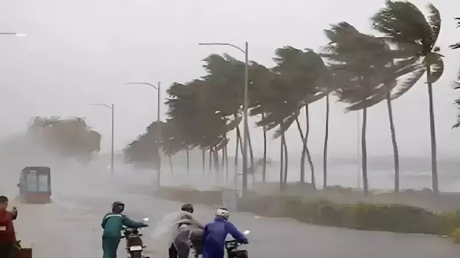 कल का मौसम 15 फरवरी: अगले 24 घंटे बाद 11 राज्यों में बारिश की चेतावनी, 40 की स्पीड से तेज हवा; IMD अलर्ट जारी