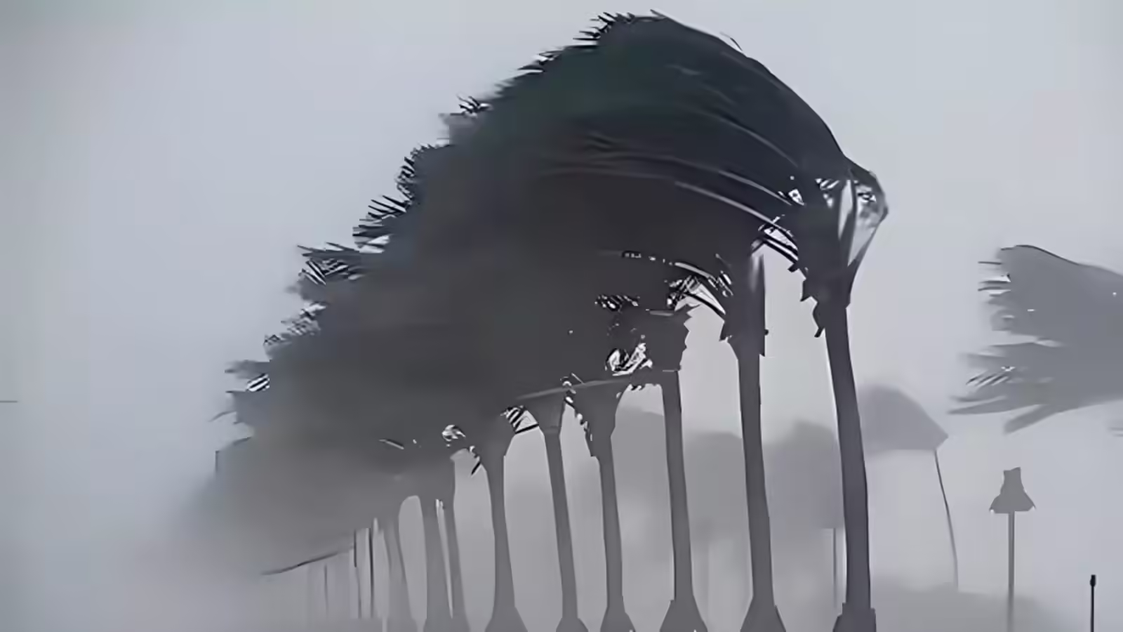 कल का मौसम 2 फरवरी: उत्तर भारत के 7 राज्यों में भारी बारिश-आंधी की चेतावनी, 50 की रफ्तार से हवा; IMD का अलर्ट