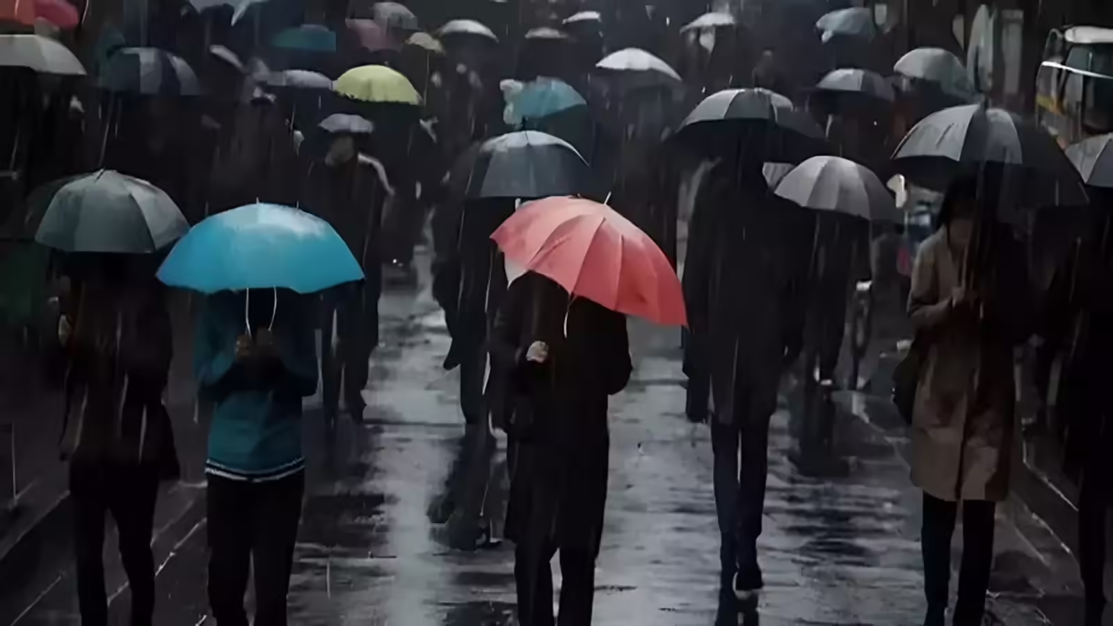 कल का मौसम 25 फरवरी: 24 घंटे के अंदर 7 राज्यों में बारिश बढ़ाएगी टेंशन, 40 की स्पीड से हवा; IMD का अलर्ट जारी