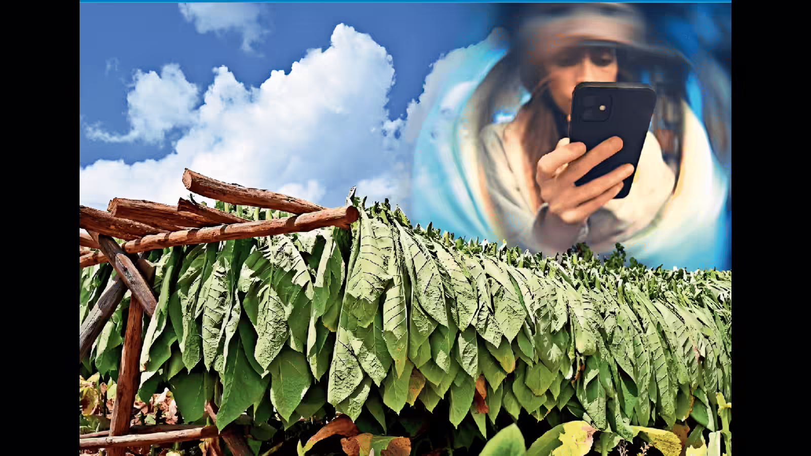 सोशल मीडिया से मिठाई तक, हम नशे का शिकार, मुनाफे के लिए इंडस्ट्री लगा रहीं तरह-तरह की लत